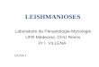 LEISHMANIOSES Laboratoire de Parasitologie-Mycologie UFR Médecine, CHU Reims Pr I. VILLENA DCEM 1