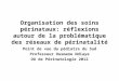 Organisation des soins périnataux: réflexions autour de la problématique des réseaux de périnatalité Point de vue du pédiatre du Sud Professeur Ousmane
