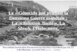 Le « Génocide juif pendant la Deuxième Guerre mondiale : La « Solution finale », La Shoah, lHolocauste