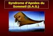 Syndrome dApnées du Sommeil (S.A.S.). Pas de question dinternat retrouvé au programme 2004