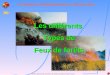 Service Départemental dIncendie et de Secours des Alpes de Haute Provence Techniques détablissements et dextinction Les différents Types de Feux de forêts