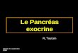 10-cours-pancreas1 Le Pancréas exocrine Update 31 septembre 2008 PL Toutain