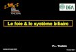 9-cours-bile-1 Le foie & le système biliaire Update 30 sept 2008 P.L. Toutain ECOLE NATIONALE VETERINAIRE T O U L O U S E