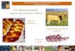 Institut National des Appellations dOrigine  IGP agroalimentaires (autres que produits laitiers) Brioche vendéenne Ail rose de Lautrec