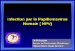 Infection par le Papillomavirus Humain ( HPV) Dr Ph.Faucher Service de Gynécologie Obstétrique Hôpital Bichat Claude Bernard