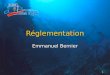 1 Réglementation Emmanuel Bernier. 2 Plan du cours Responsabilité, assurance Responsabilité, assurance L'arrêté de 98 L'arrêté de 98 Les jeunes plongeurs