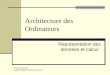 Architecture des Ordinateurs Représentation des données et calcul Patrice Gommery p.gommery@iut-troyes.univ-reims.fr