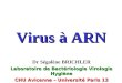 Virus à ARN Dr Ségolène BRICHLER Laboratoire de Bactériologie Virologie Hygiène CHU Avicenne – Université Paris 13