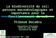 La biodiversité du sol: patrons macroécologiques et importance pour le fonctionnement du sol Thibaud Decaëns Laboratoire dEcologie UPRES-EA 1293 ECODIV