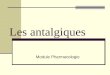 Les antalgiques Module Pharmacologie. IFSI Bichat - Annie Le Trionnaire - Janvier 20072 Objectifs pédagogiques Citer les deux grandes classes dantalgiques