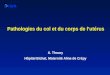 Pathologies du col et du corps de lutérus A. Thoury Hôpital Bichat, Maternité Aline de Crépy