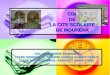 CDI DE LA CITE SCOLAIRE DE MOURENX COLLEGE PIERRE BOURDIEU LYCEE GENERAL ET TECHNOLOGIQUE ALBERT CAMUS LYCEE PROFESSIONNEL PIERRE ET MARIE CURIE