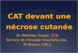 CAT devant une nécrose cutanée Dr Matthieu Koppe, CCA Service de chirurgie maxillofaciale, Pr Breton, CHLS