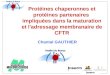 Chantal GAUTHIER Protéines chaperonnes et protéines partenaires impliquées dans la maturation et l'adressage membranaire de CFTR