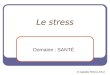 Le stress Domaine : SANTÉ © Isabelle ROULLEAU. Les conséquences du stress sur la santé