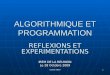 Isabelle ABOU 1 ALGORITHMIQUE ET PROGRAMMATION REFLEXIONS ET EXPERIMENTATIONS IREM DE LA REUNION Le 28 Octobre 2009
