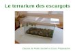 Le terrarium des escargots Classes de Petite Section et Cours Préparatoire