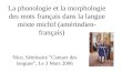 La phonologie et la morphologie des mots français dans la langue mixte michif (amérindien- français) Nice, Séminaire Contact des langues, Le 3 Mars 2006