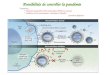 Possibilités de contrôler la pandémie antiviraux Amantan (amantidine, M2 canal ionique) H5N1 est résistant Inhibiteur de la neuriminidase : Oseltamivir