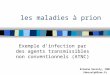 Les maladies à prion Exemple dinfection par des agents transmissibles non conventionnels (ATNC) Etienne Decroly, CNRS Edecroly@free.fr