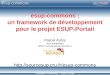 Copyright © 2006-2007 – ESUP-Portail esup-commons : un framework de développement pour le projet ESUP-Portail Pascal Aubry sur-connaissant IFSIC / Université