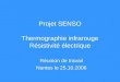 Projet SENSO Thermographie infrarouge Résistivité électrique Réunion de travail Nantes le 25.10.2006