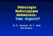 S©miologie Radiologique Abdominale: Tube digestif Dr B. Bessoud, Dr C. Phan CHU Bictre