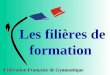 Fédération Française de Gymnastique Les filières de formation