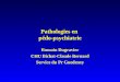 Pathologies en pédo-psychiatrie Romain Dugravier CHU Bichat-Claude Bernard Service du Pr Guedeney
