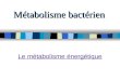 Métabolisme bactérien Le métabolisme énergétique
