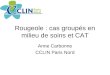 Rougeole : cas groupés en milieu de soins et CAT Anne Carbonne CCLIN Paris Nord