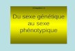Chapitre 4 Du sexe génétique au sexe phénotypique
