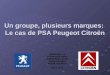 Un groupe, plusieurs marques: Le cas de PSA Peugeot Citroën IMBEAUD Luc ESPINASSE Rémi GARRABOS Lionel GESSLER Gaël KOZIK Aurélien INSA 4AE