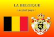 LA BELGIQUE Le plat pays !. La Belgique partage ses frontières avec la France au sud, les Pays-Bas au nord, l'Allemagne et le Luxembourg. La superficie