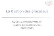 La Gestion des processus Sandrine FERNEZ-WALCH Maître de Conférences 2002-2003