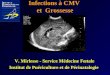 Infections à CMV et Grossesse V. Mirlesse - Service Médecine Fœtale Institut de Puériculture et de Périnatalogie