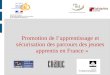 Promotion de lapprentissage et sécurisation des parcours des jeunes apprentis en France »