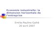 Economie industrielle: la dimension horizontale de lentreprise Emilie-Pauline Gallié 20 avril 2007