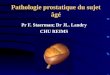 Pathologie prostatique du sujet âgé Pr F. Staerman; Dr JL. Landry CHU REIMS