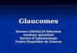 Glaucomes Docteur GRIMALDI Sébastien Assistant spécialiste Service dOphtalmologie Centre Hospitalier de Gonesse
