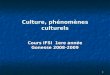 1 Culture, phénomènes culturels Cours IFSI 1ere année Gonesse 2008-2009