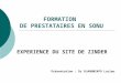 FORMATION DE PRESTATAIRES EN SONU EXPERIENCE DU SITE DE ZINDER Présentation : Dr DJANGNIKPO Lucien