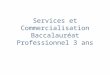 Services et Commercialisation Baccalauréat Professionnel 3 ans