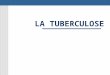 LA TUBERCULOSE INTRODUCTION Maladie infectieuse due au bacille tuberculeux Grand problème de santé publique au Maroc et dans le monde Programme national