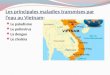 Les principales maladies transmises par leau au Vietnam: Le paludisme Le poliovirus La dengue Le choléra