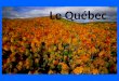 Le Québec. En quelques mots et quelques chiffres Population : 7 907 375 (2010) Densité : 4,97 hab./km 2 (19x moins quen Espagne) Superficie : 1 667