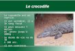 Le crocodile Le crocodile est un reptile. Il est vertébré, il a le sang froid. Il peut mesurer 7 mètres et peser jusqu'à 200kg. Sa durée de vie va de 70