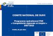 COMITE NATIONAL DE SUIVI PARIS, 30 juin 2011 Fonds social européen Programme opérationnel FSE « Compétitivité régionale et Emploi » 2007-2013 Le comité