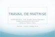 TRAVAIL DE MAÎTRISE COORDINATRICE : Prof. Brigitte Santos-Eggimann ANNEE ACADEMIQUE 2012-2013 (Volée de Février 2013) Contact : master_med@unil.ch