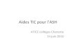 Aides TIC pour lASH ATICE collèges Charente 14 juin 2010